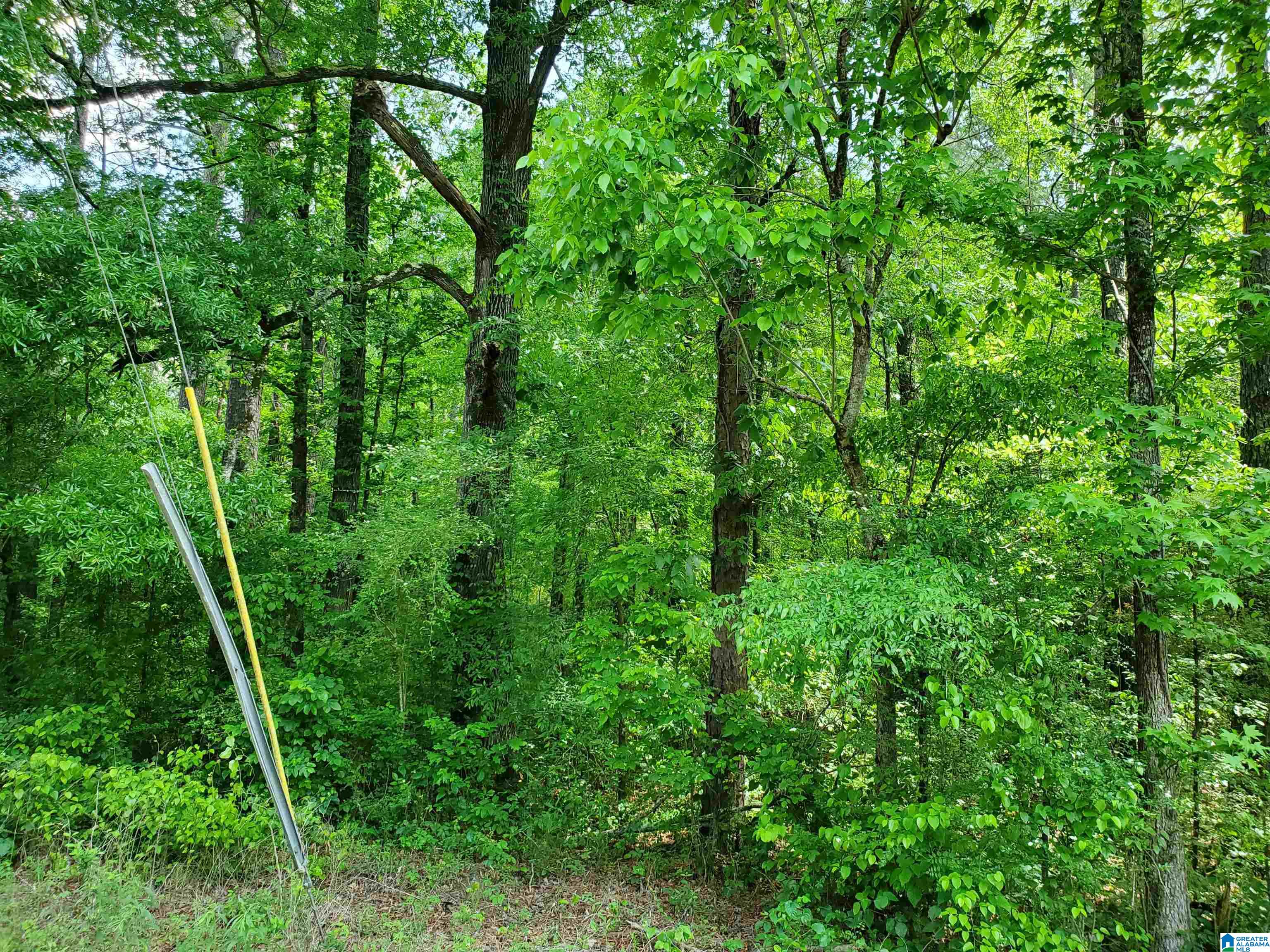 0 Chelsea Road Columbiana, AL 35051 - Photo 3 of 17