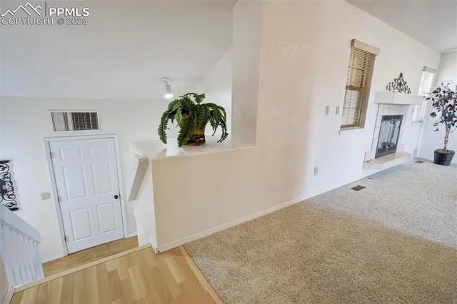 a hallway with painting on the wall and a potted plant