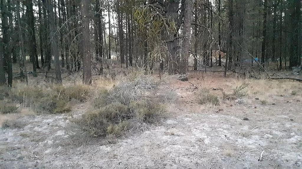 Fox Lane Bend, OR 97707 - Photo 10 of 12 11