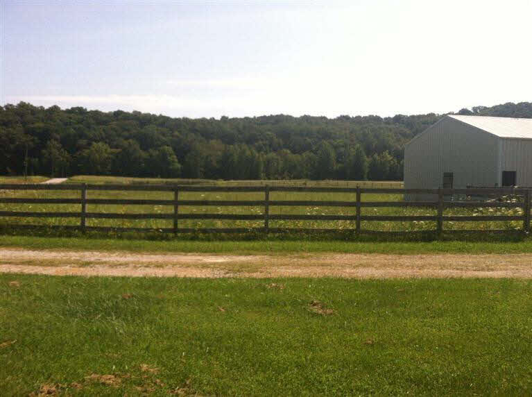 11025 East Fitzpatrick Road Pekin, IN 47165 - Photo 4 of 15
