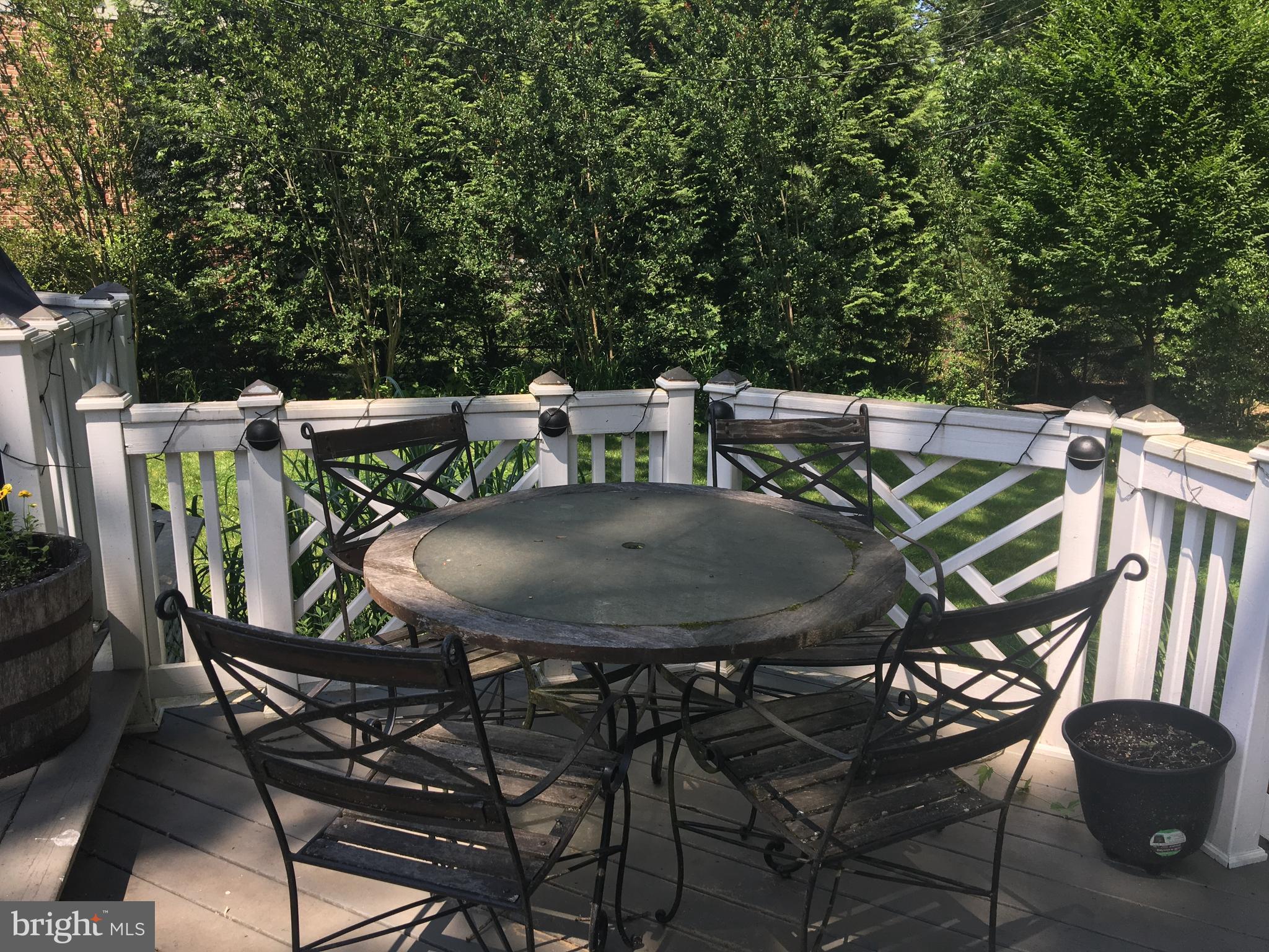 3717 Fordham Road Northwest Washington, DC 20016 - Photo 20 of 30 Deck
