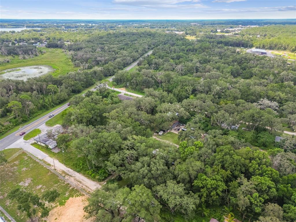 1317 Carl Street Inverness, FL 34453 - Photo 18 of 20 a view of a lush green forest with trees and houses