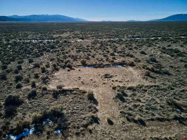 a view of a dry yard