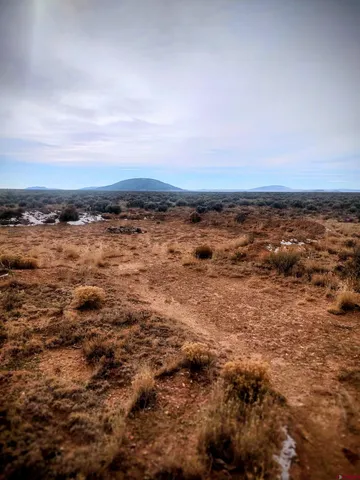 $42,000 | Lot 30004320 County Road 13, San Luis, CO 81152