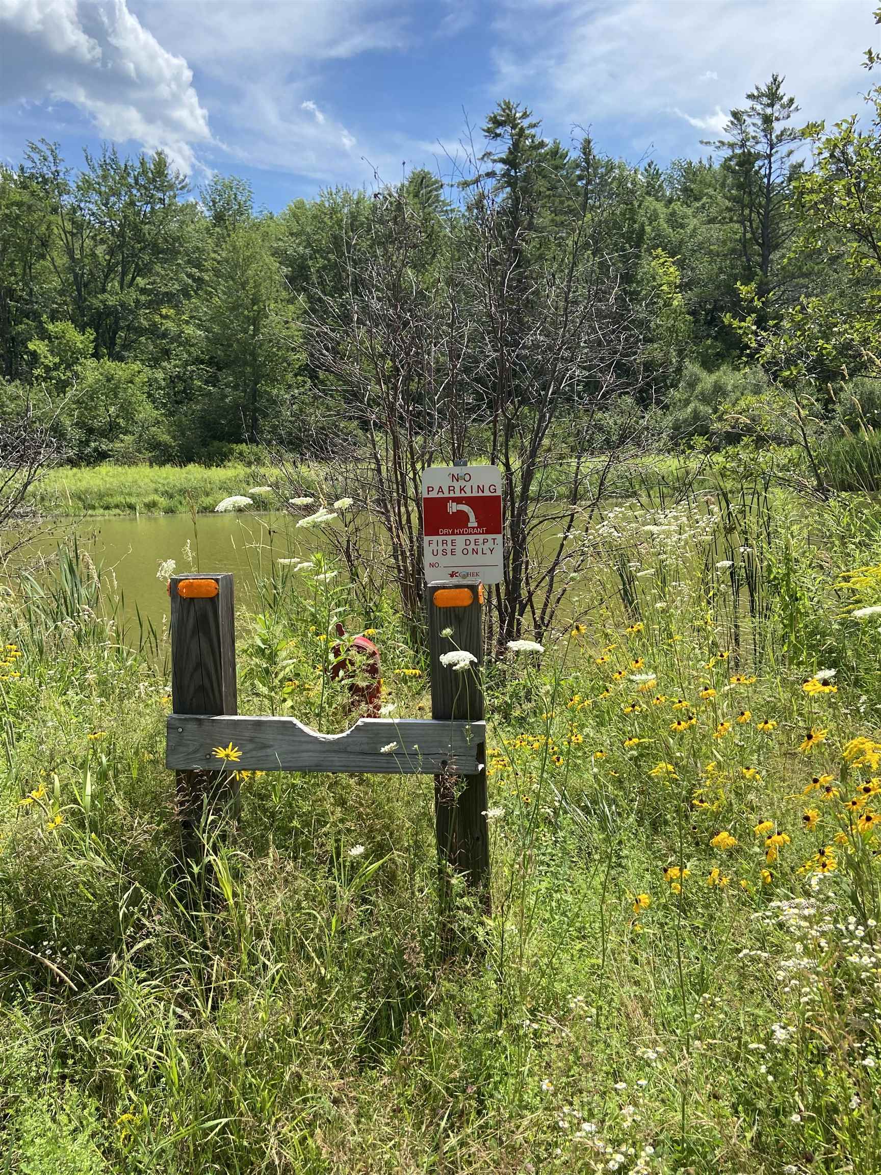 0 Norrie Davies Road Cavendish, VT 05142 - Photo 5 of 6