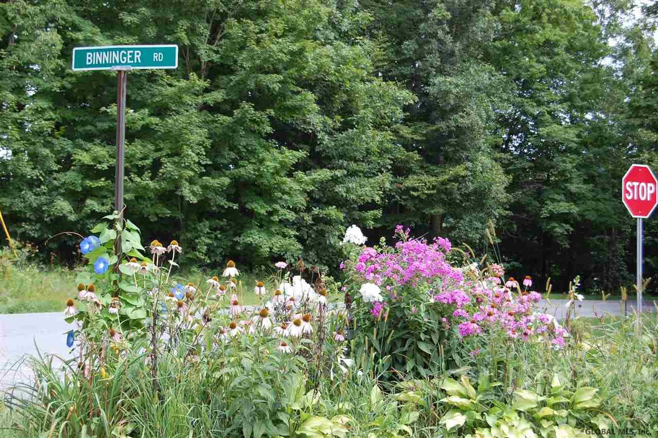 128 Binninger Road Salem, NY 12873 - Photo 1 of 25 Photo 1