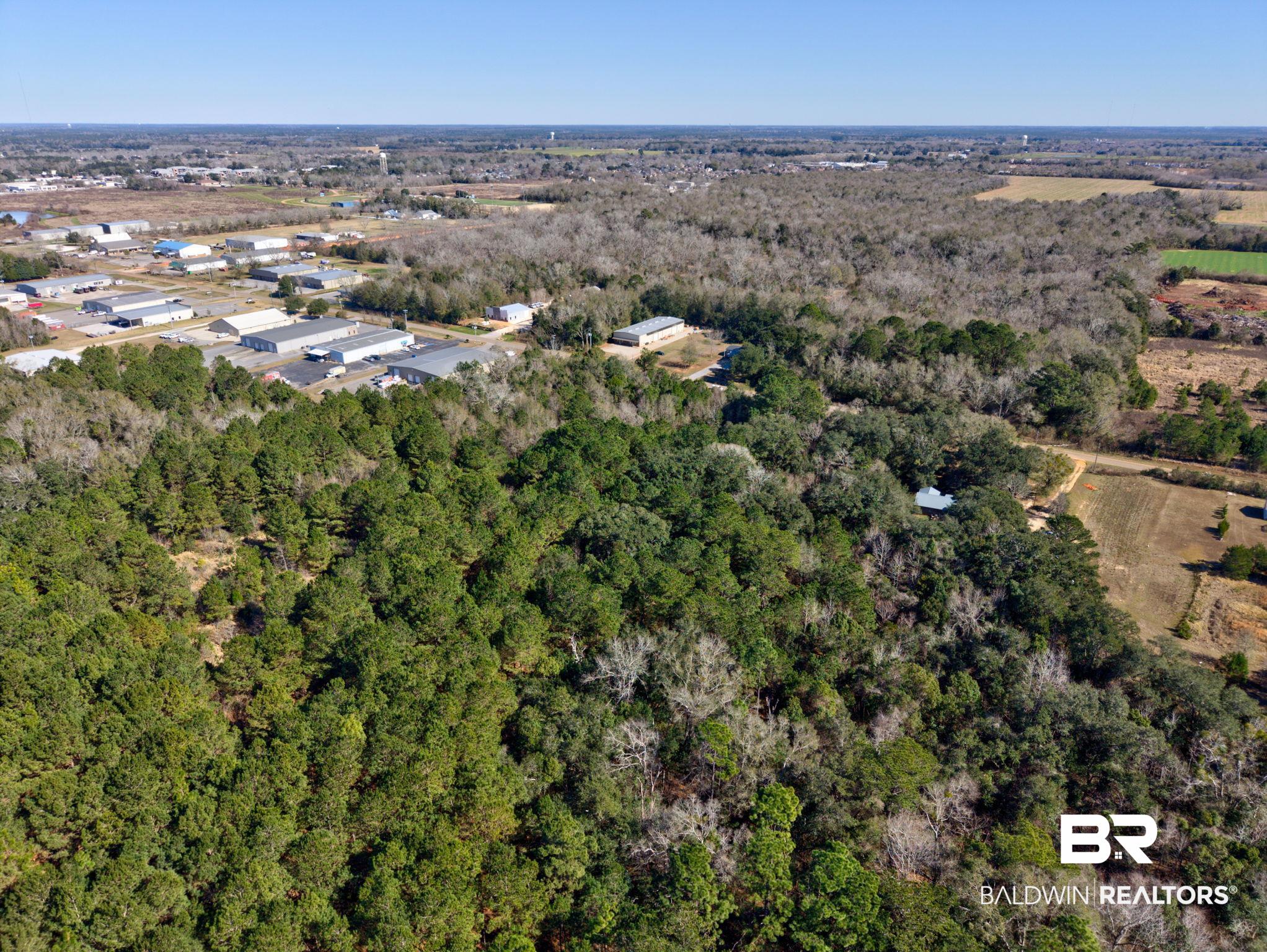 25280 Friendship Road Daphne, AL 36526 - Photo 23 of 34 Aerial view of property's location with a forest