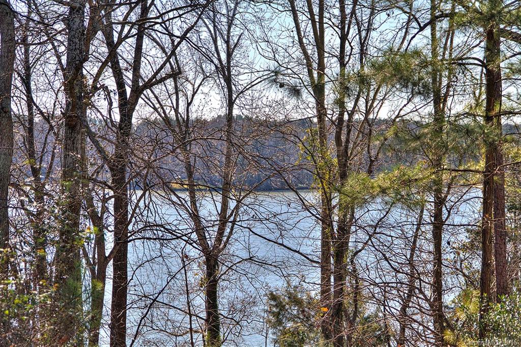 3014 Point Clear Drive, Unit 14 Tega Cay, SC 29708 - Photo 5 of 24 Gallery Image 5