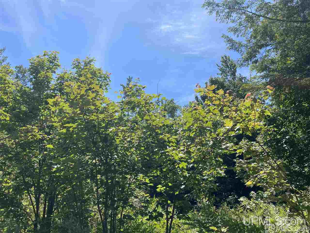Tbd Off Cooks Lake Road, Unit 1 Wetmore, MI 49895 - Photo 18 of 19