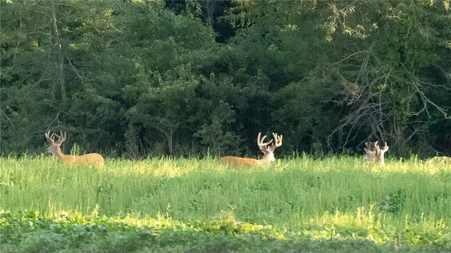 $744,000 | 0 Southeast Texas Road, Garnett, KS 66032