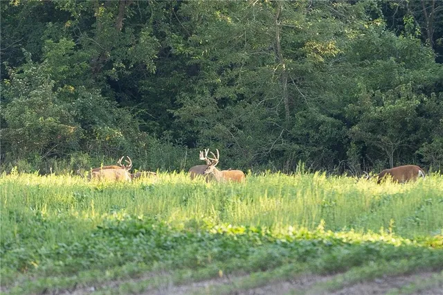 $744,000 | 0 Southeast Texas Road, Garnett, KS 66032