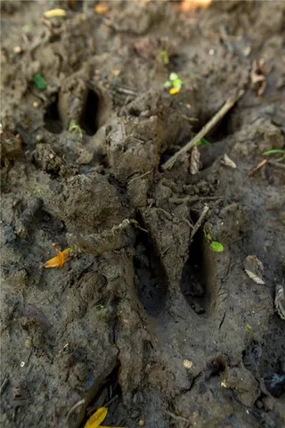 $744,000 | 0 Southeast Texas Road, Garnett, KS 66032