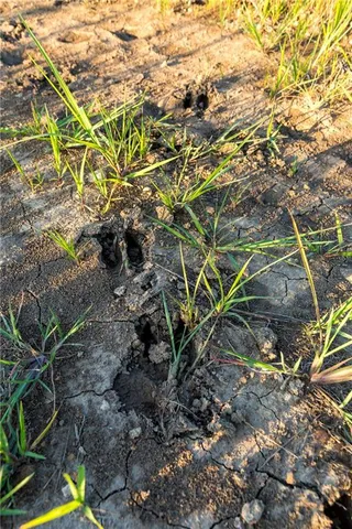 $744,000 | 0 Southeast Texas Road, Garnett, KS 66032