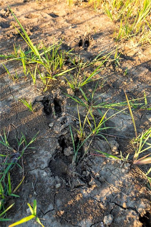 0 Southeast Texas Road Garnett, KS 66032 - Photo 50 of 74