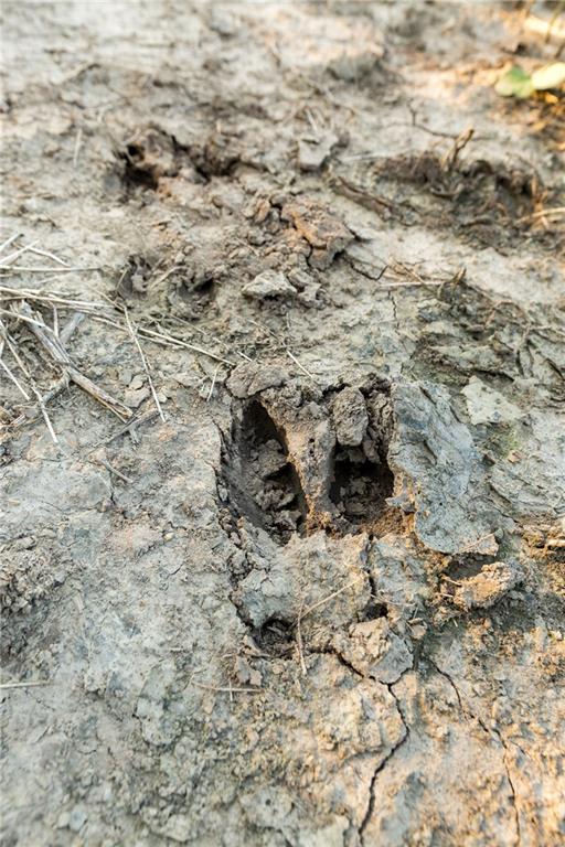 0 Southeast Texas Road Garnett, KS 66032 - Photo 58 of 74