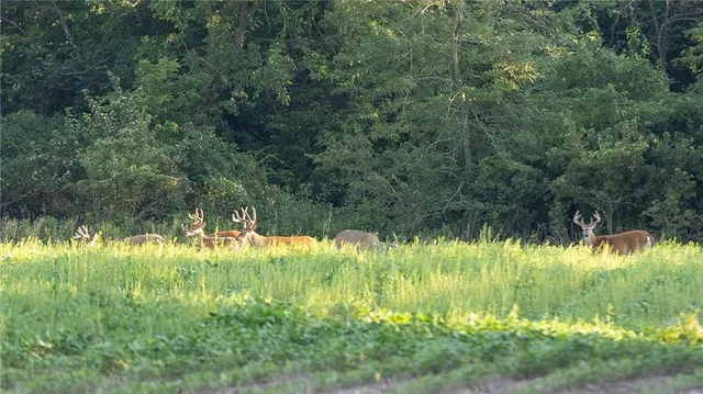 $744,000 | 0 Southeast Texas Road, Garnett, KS 66032