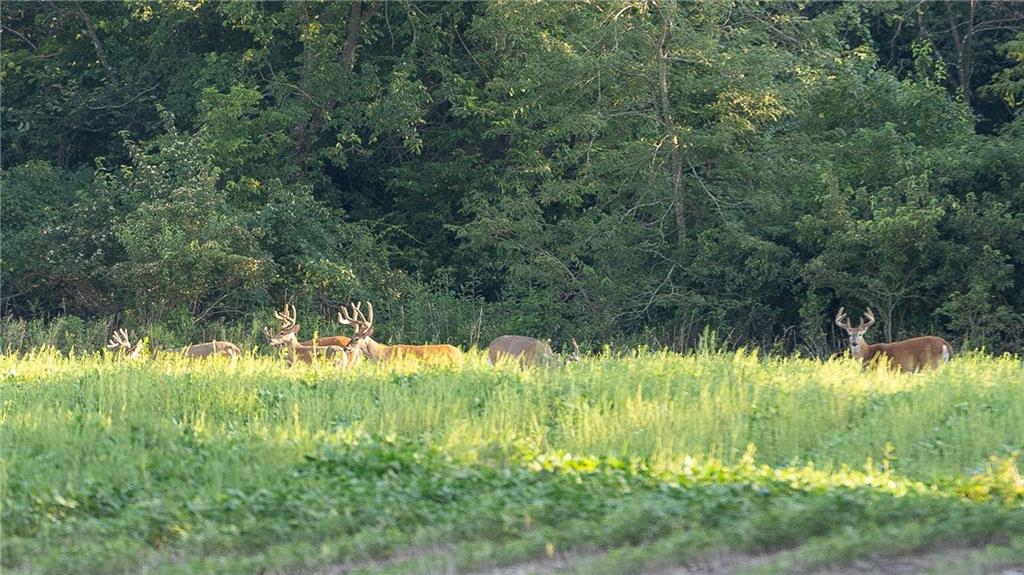 0 Southeast Texas Road Garnett, KS 66032 - Photo 70 of 74