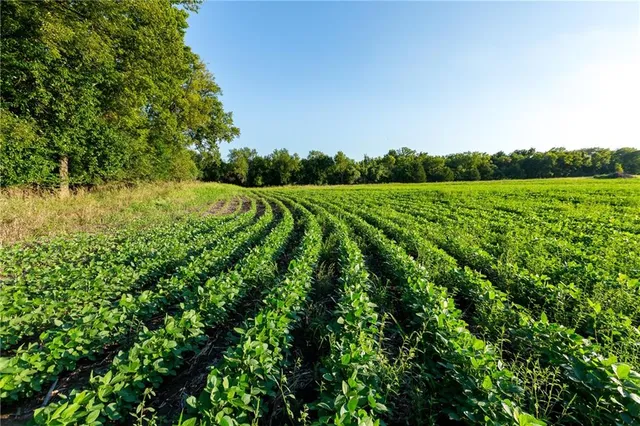 $744,000 | 0 Southeast Texas Road, Garnett, KS 66032