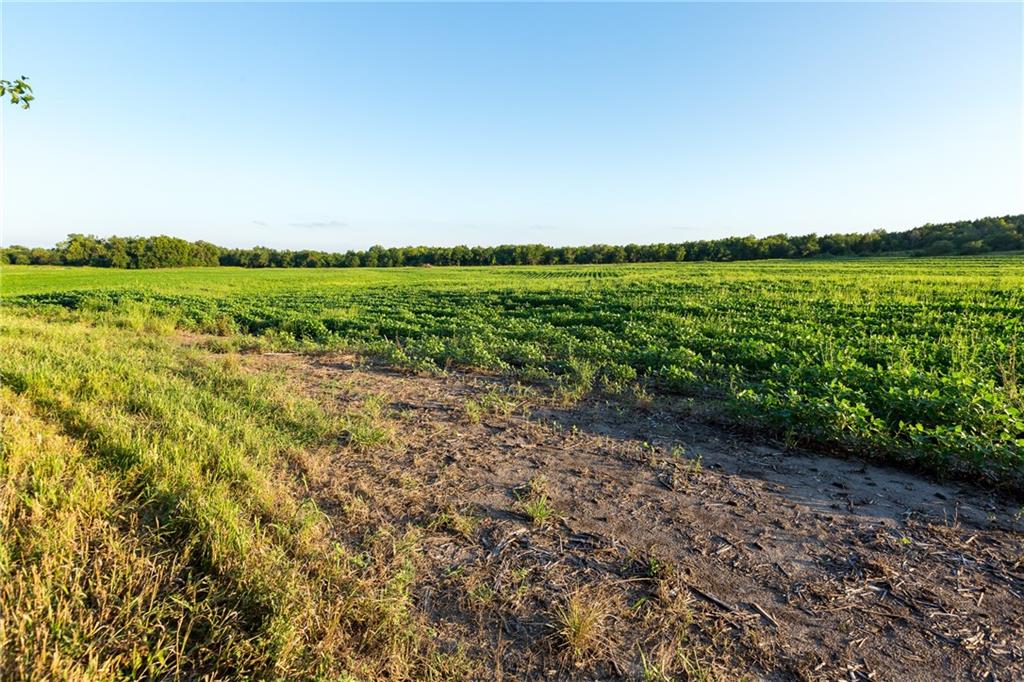 0 Southeast Texas Road Garnett, KS 66032 - Photo 9 of 74
