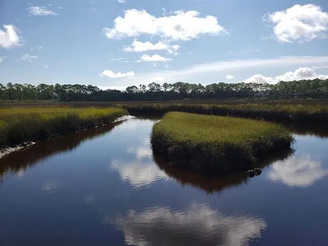 $45,500 | 35 Tide Creek Landing, Ochlockonee Bay, FL 32346