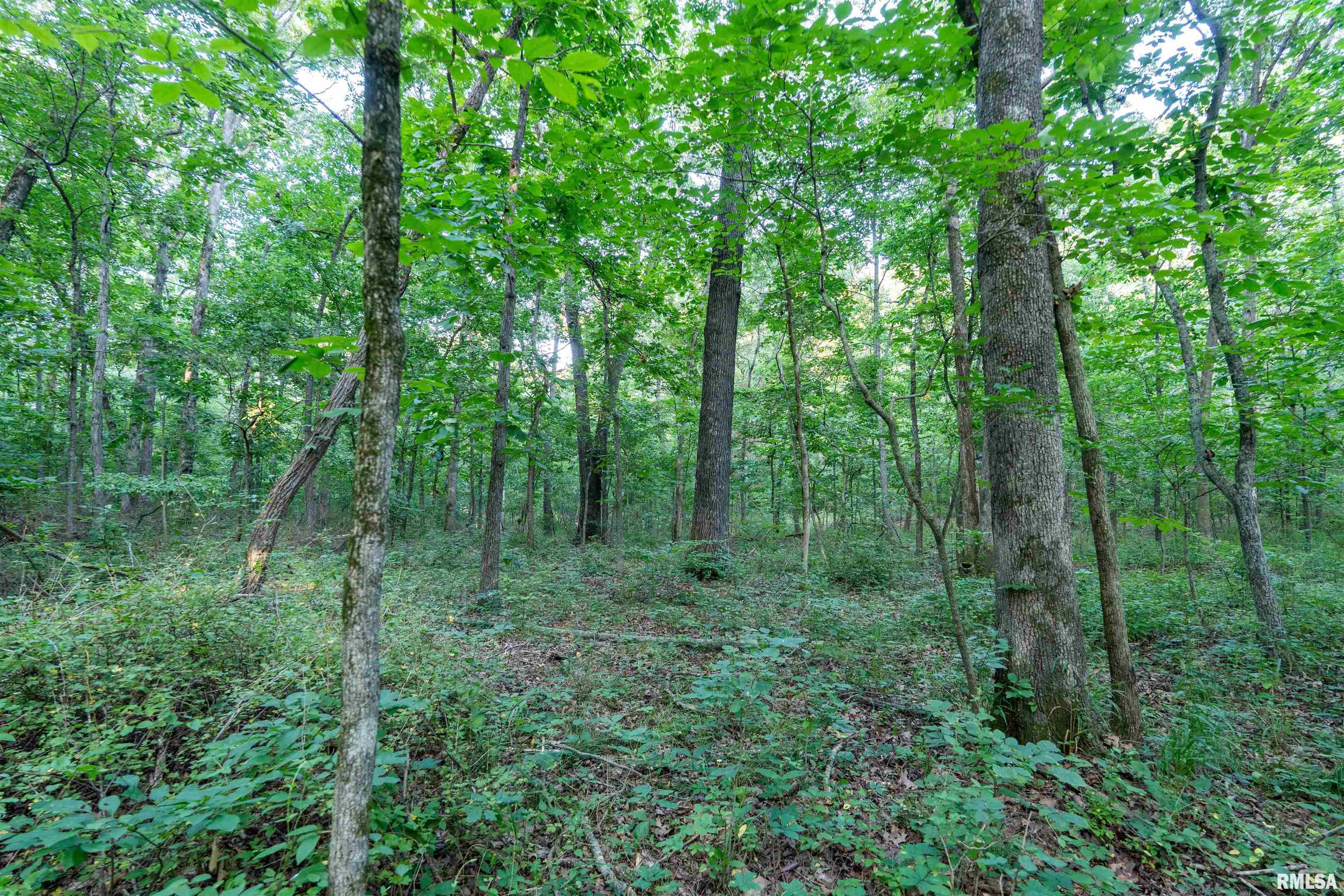 3002 Carr Road Red Bud, IL 62278 - Photo 48 of 79 Gallery Image 48
