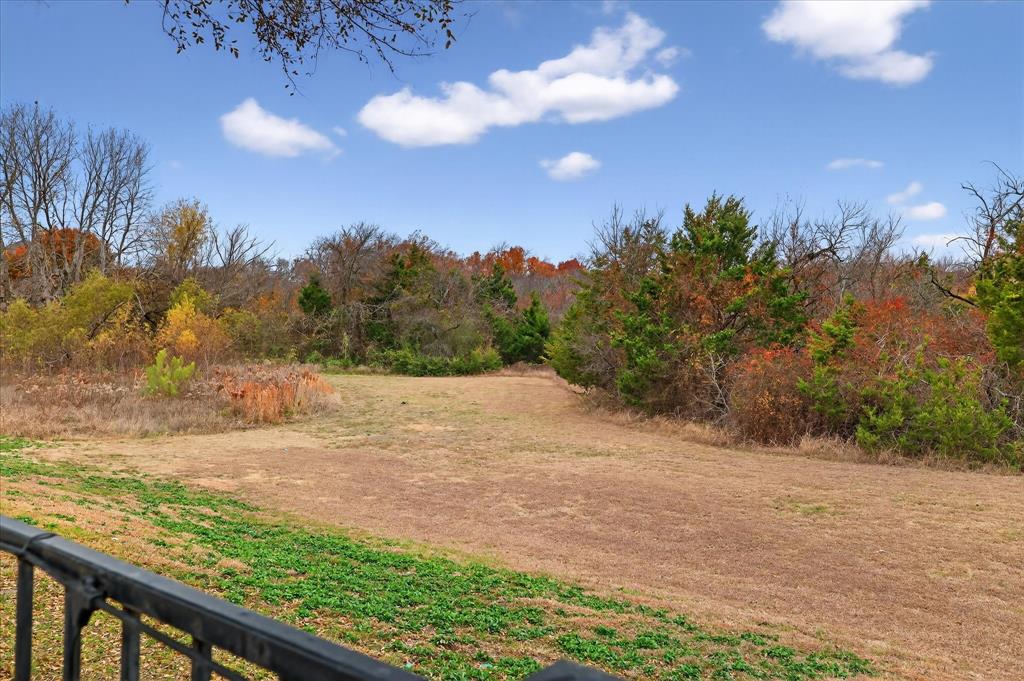 15221 Ridgewood Drive Frisco, TX 75035 - Photo 38 of 40