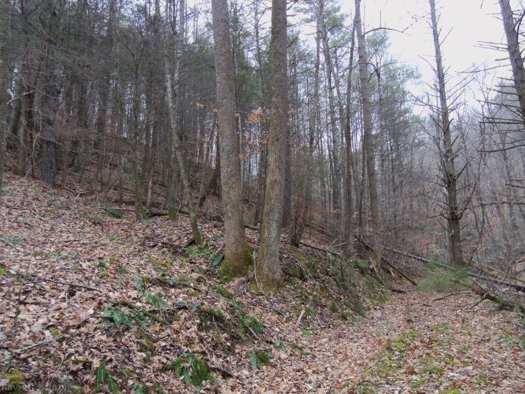 Tbd Lick Ridge Road Northeast Check, VA 24072 - Photo 13 of 14 Gallery Image 13
