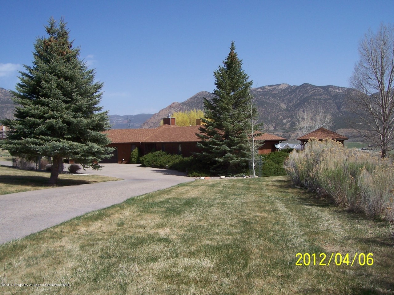 a view of a yard with an trees