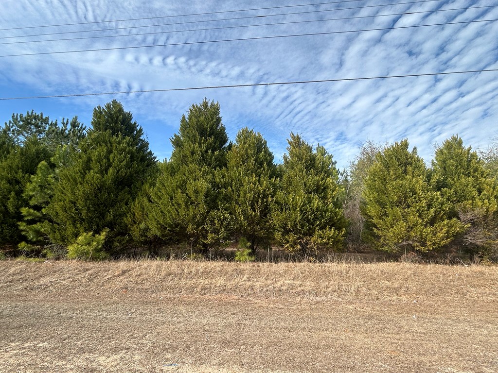 9-ac Whittle Hudson Road Ozark, AL 36360 - Photo 20 of 34