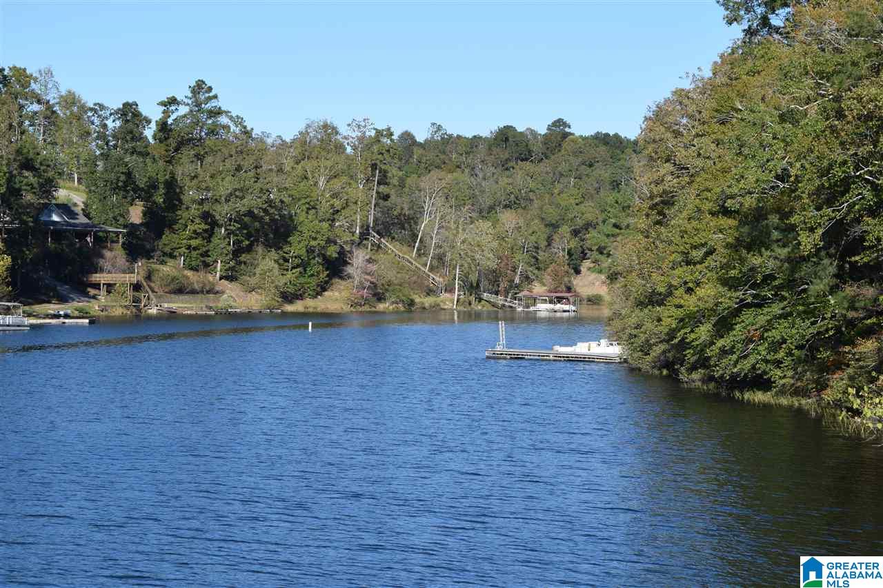 0 Mountain Lake Road, Unit LOT 7 Warrior, AL 35180 - Photo 11 of 11
