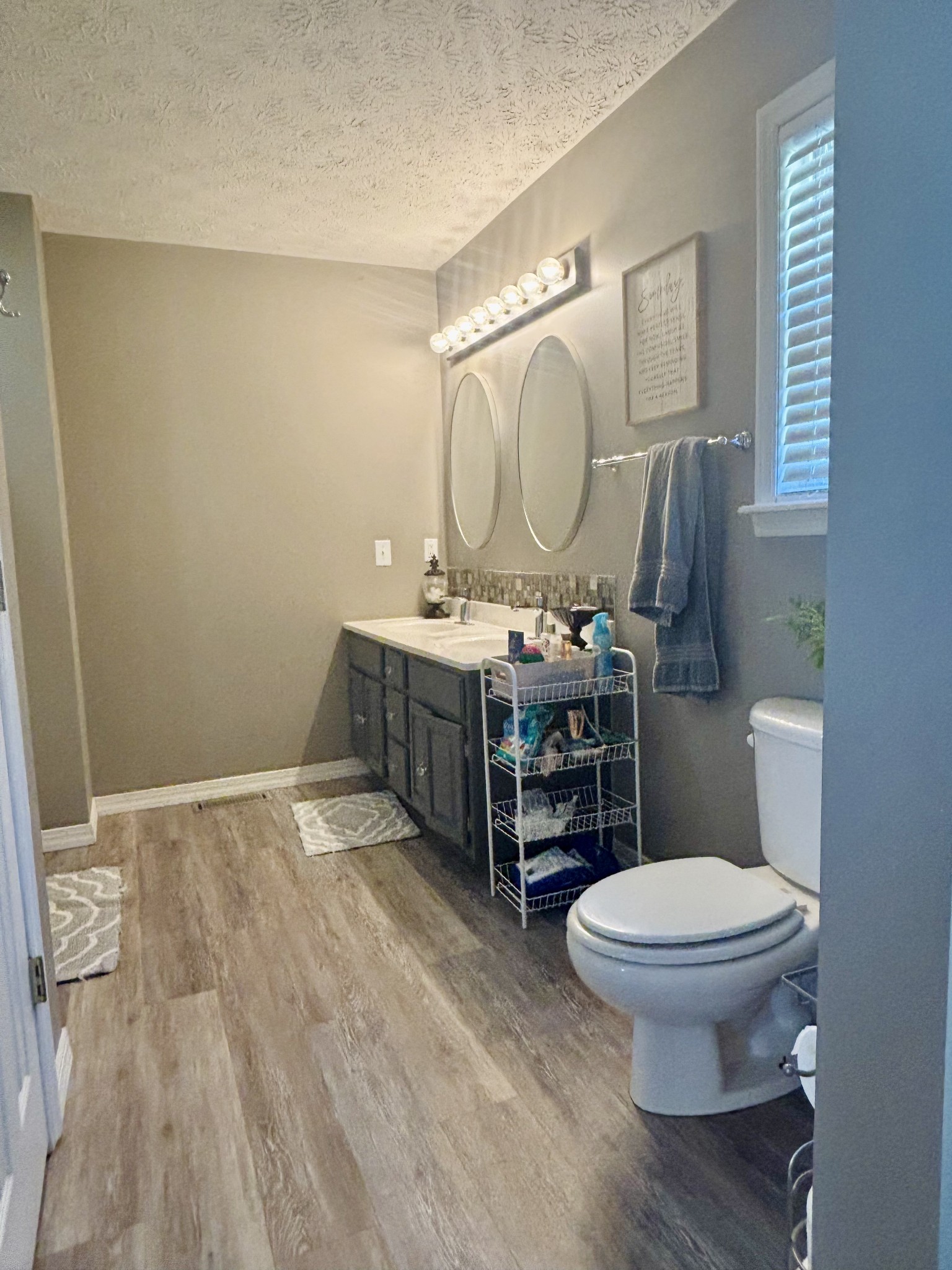586 Old Snow Hill Road Dowelltown, TN 37059 - Photo 13 of 51 a bathroom with a toilet a sink and mirror