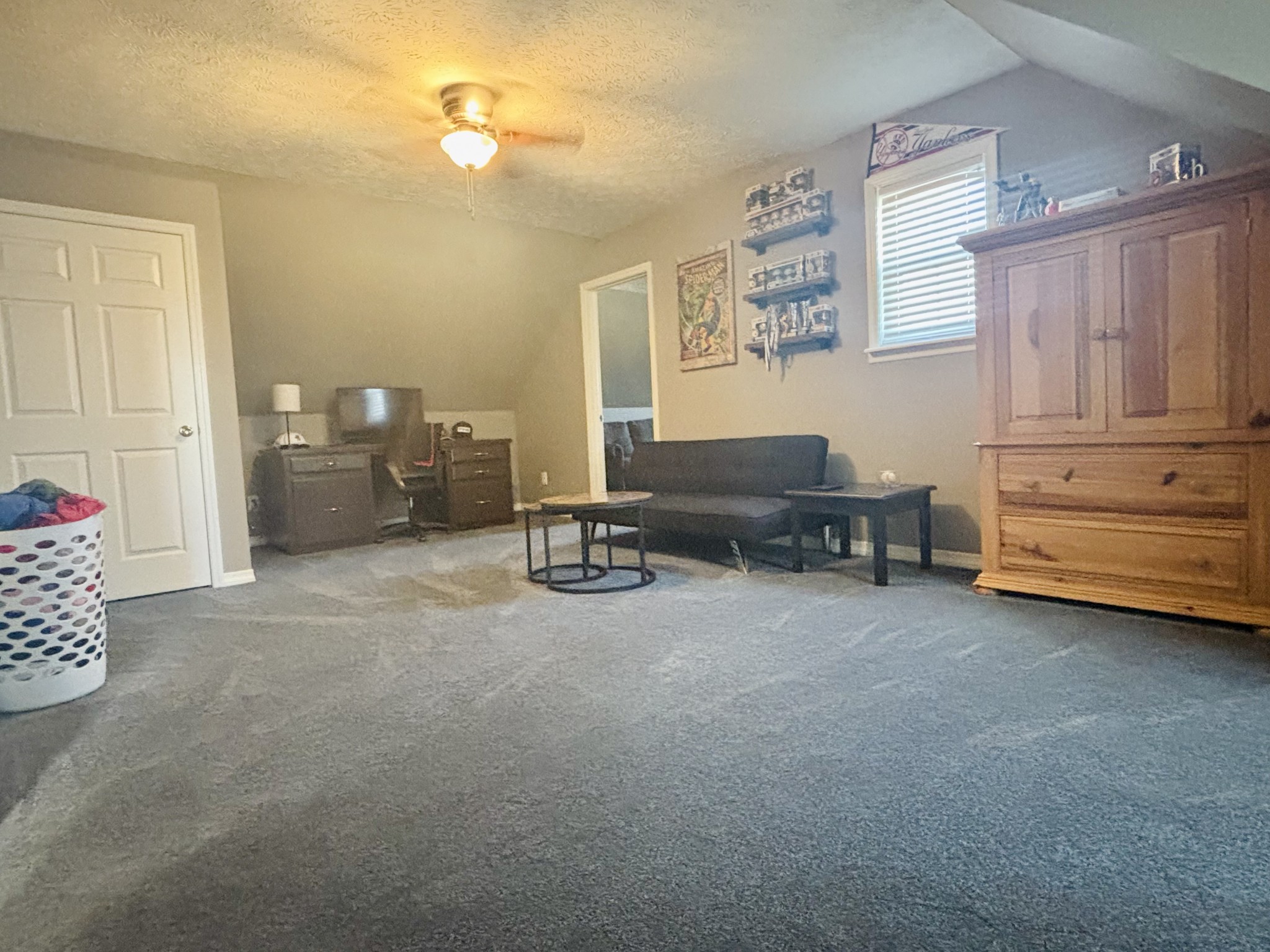 586 Old Snow Hill Road Dowelltown, TN 37059 - Photo 35 of 51 a living room with furniture and a couch