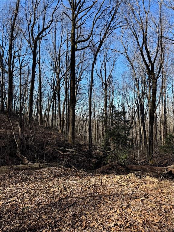 6180 Burnt Mountain Road Ellijay, GA 30536 - Photo 12 of 20 a view of backyard of house with trees