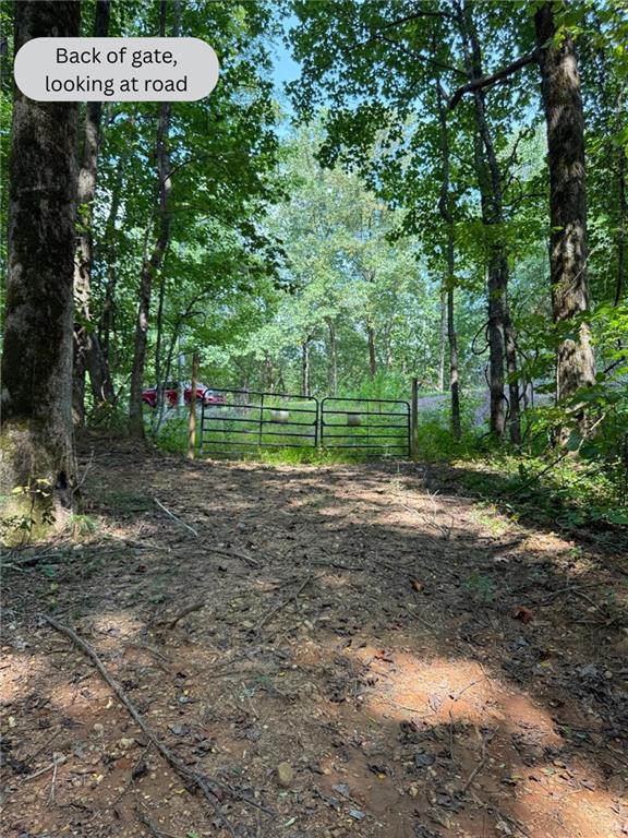 6180 Burnt Mountain Road Ellijay, GA 30536 - Photo 13 of 20 a view of a park