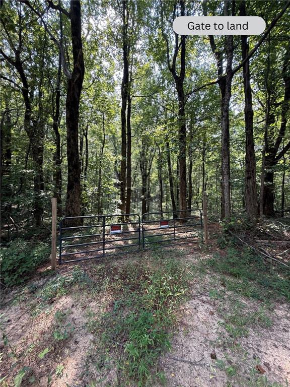 6180 Burnt Mountain Road Ellijay, GA 30536 - Photo 16 of 20 a view of a forest with trees in the background