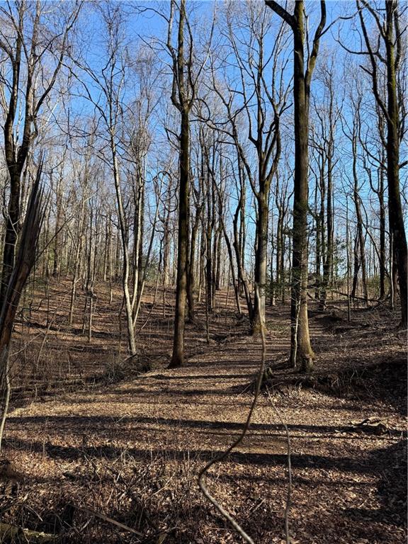 6180 Burnt Mountain Road Ellijay, GA 30536 - Photo 18 of 20 a backyard of a house