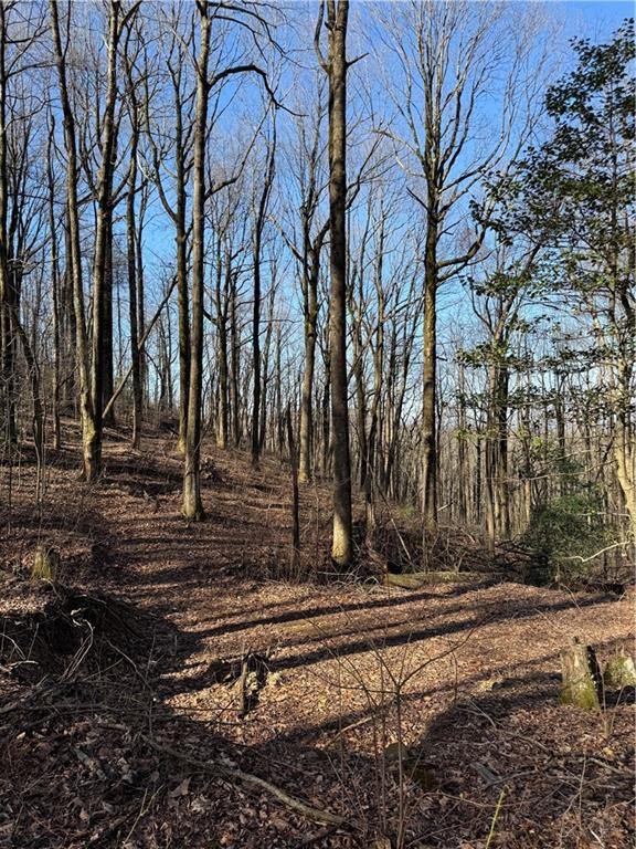 6180 Burnt Mountain Road Ellijay, GA 30536 - Photo 20 of 20 a view of a backyard with wooden fence