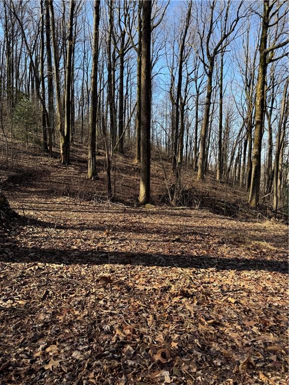 6180 Burnt Mountain Road Ellijay, GA 30536 - Photo 2 of 20 a view of a backyard with green space