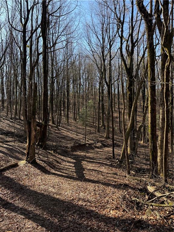 6180 Burnt Mountain Road Ellijay, GA 30536 - Photo 3 of 20 a view of a backyard with of trees