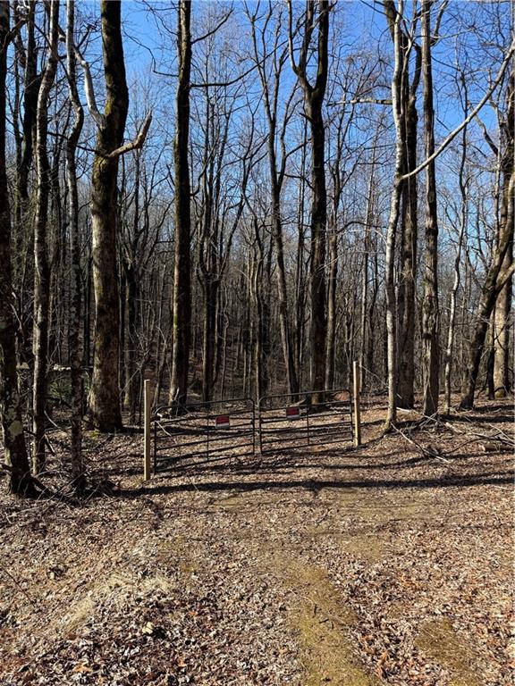 6180 Burnt Mountain Road Ellijay, GA 30536 - Photo 4 of 20 a view of a backyard with green space