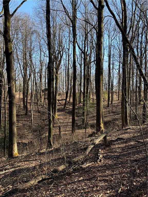 6180 Burnt Mountain Road Ellijay, GA 30536 - Photo 8 of 20 a backyard of a house with lots of green space