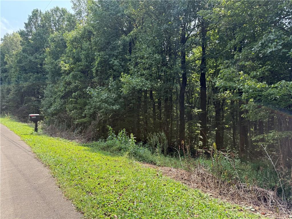 6180 Burnt Mountain Road Ellijay, GA 30536 - Photo 9 of 20 a view of a back yard