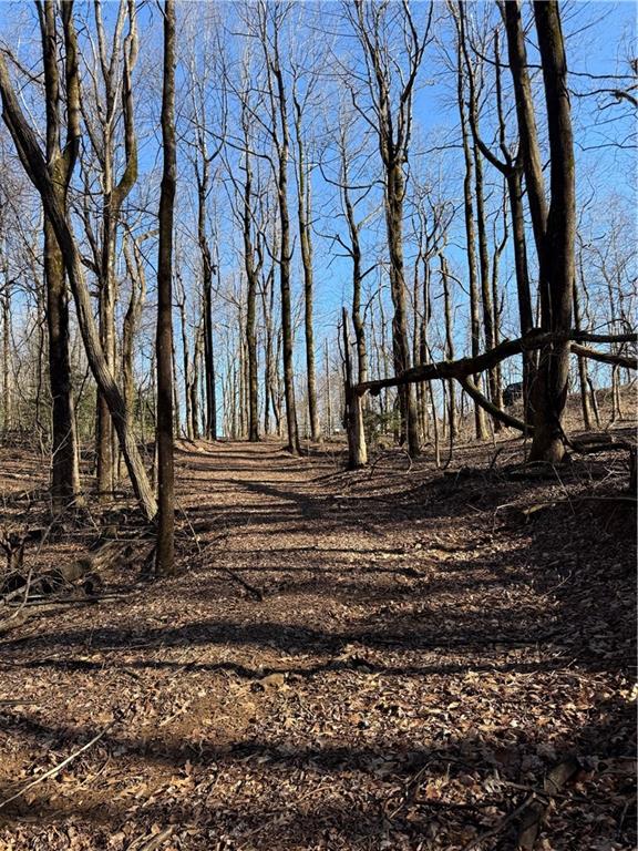 6180 Burnt Mountain Road Ellijay, GA 30536 - Photo 10 of 20 a backyard of a house with lots of green space