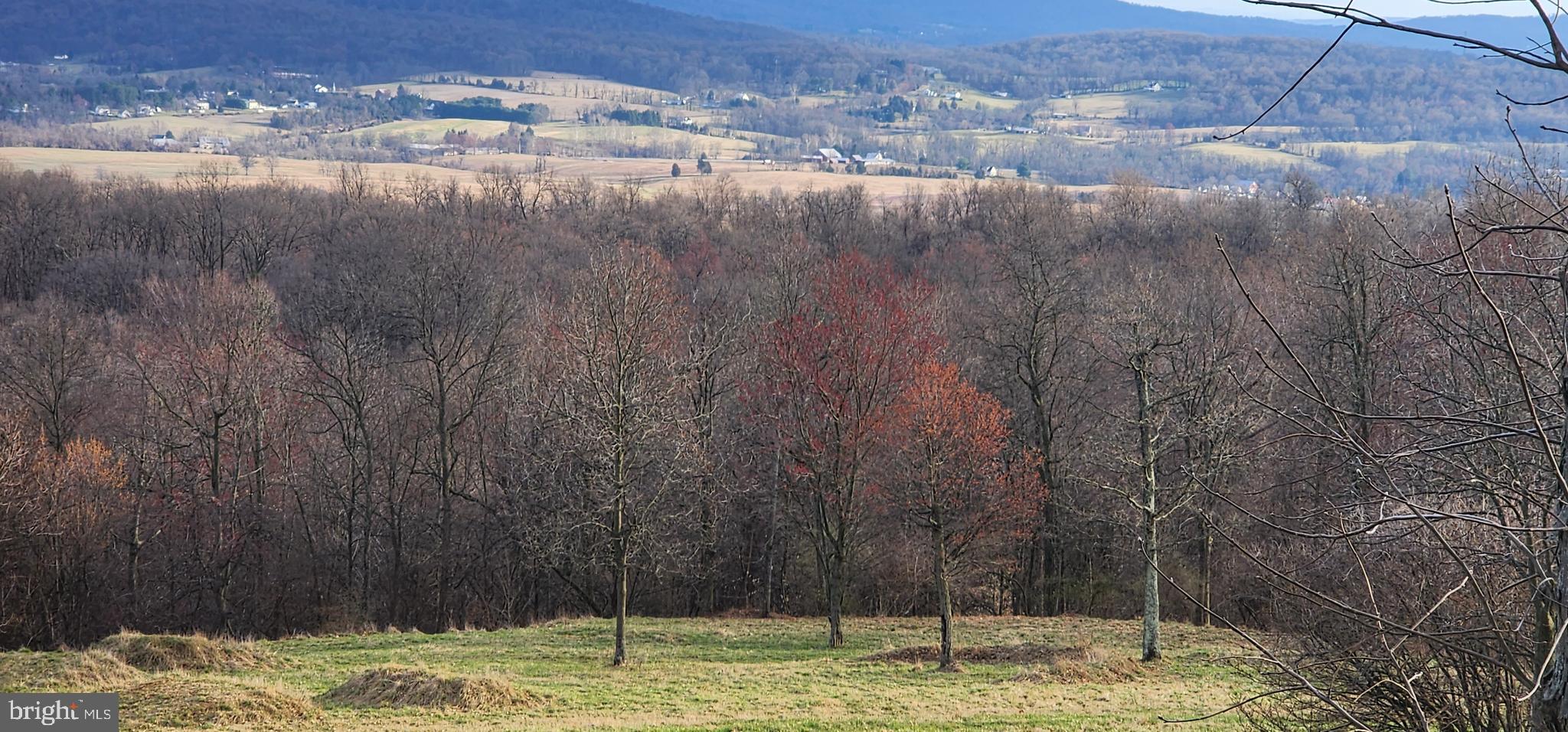 0 Ridge Road Lewisberry, PA 17339 - Photo 1 of 6