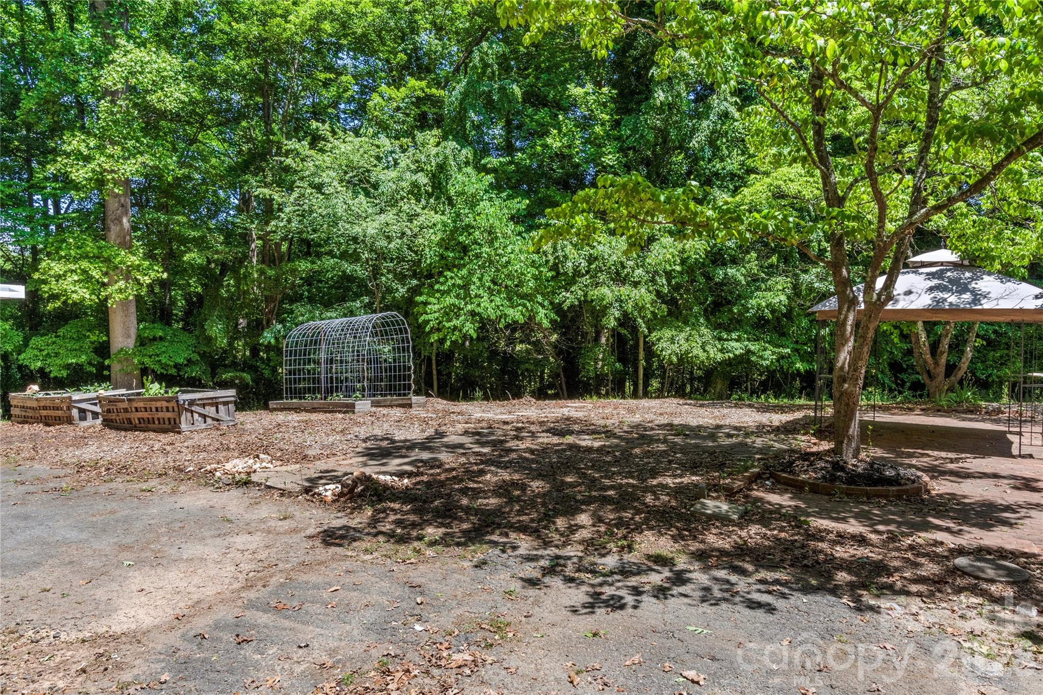 951 Dodson Mill Road Pilot Mountain, NC 27041 - Photo 39 of 48 a view of a backyard with a trees