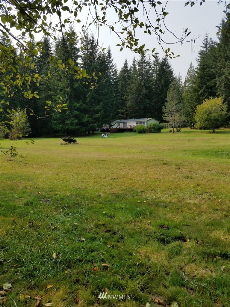 80 West River Run Road Elma, WA 98541 - Photo 6 of 33 Gallery Image 6