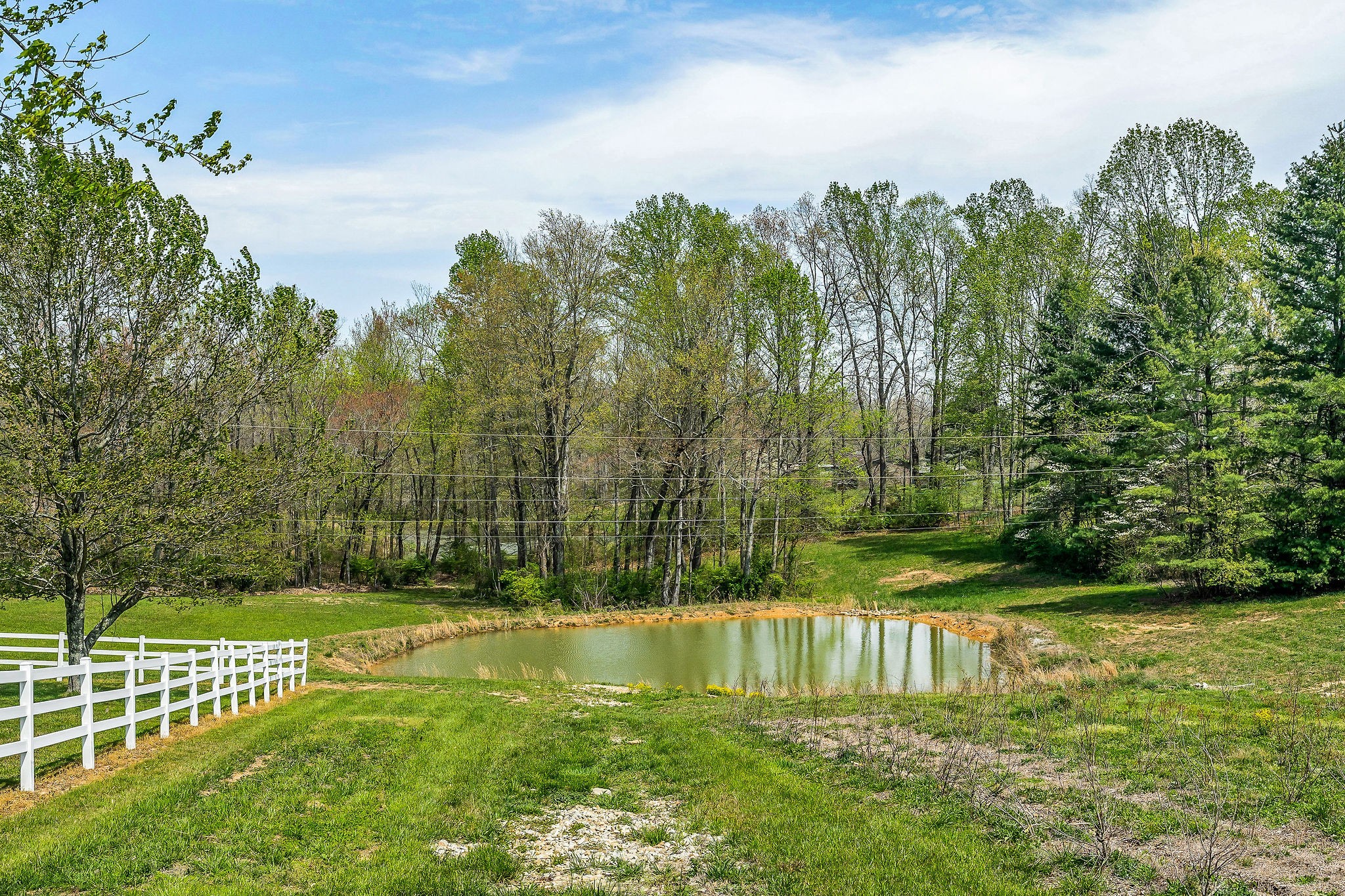 698 Maynard Road Crossville, TN 38571 - Photo 16 of 66