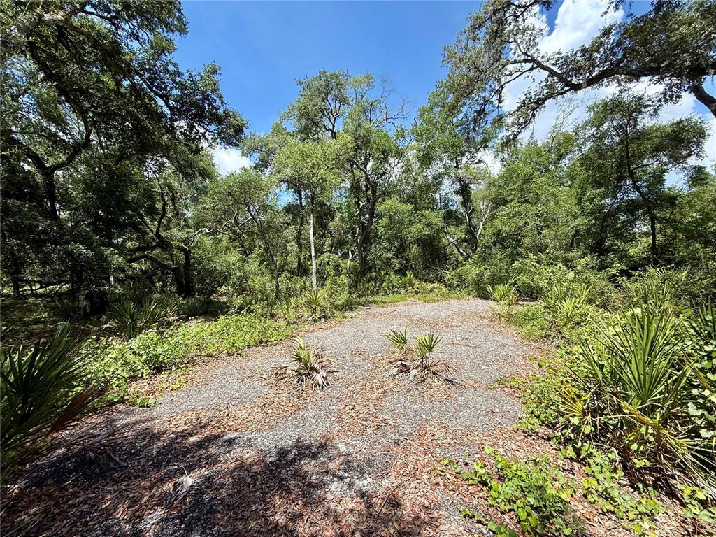 Long Circle Webster, FL 33597 - Photo 2 of 11