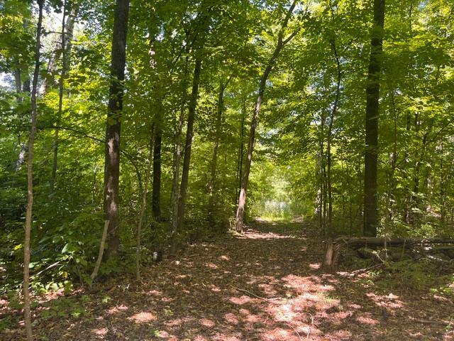 Lot 2 County Road Woodville, WI 54028 - Photo 1 of 15 Gallery Image 1