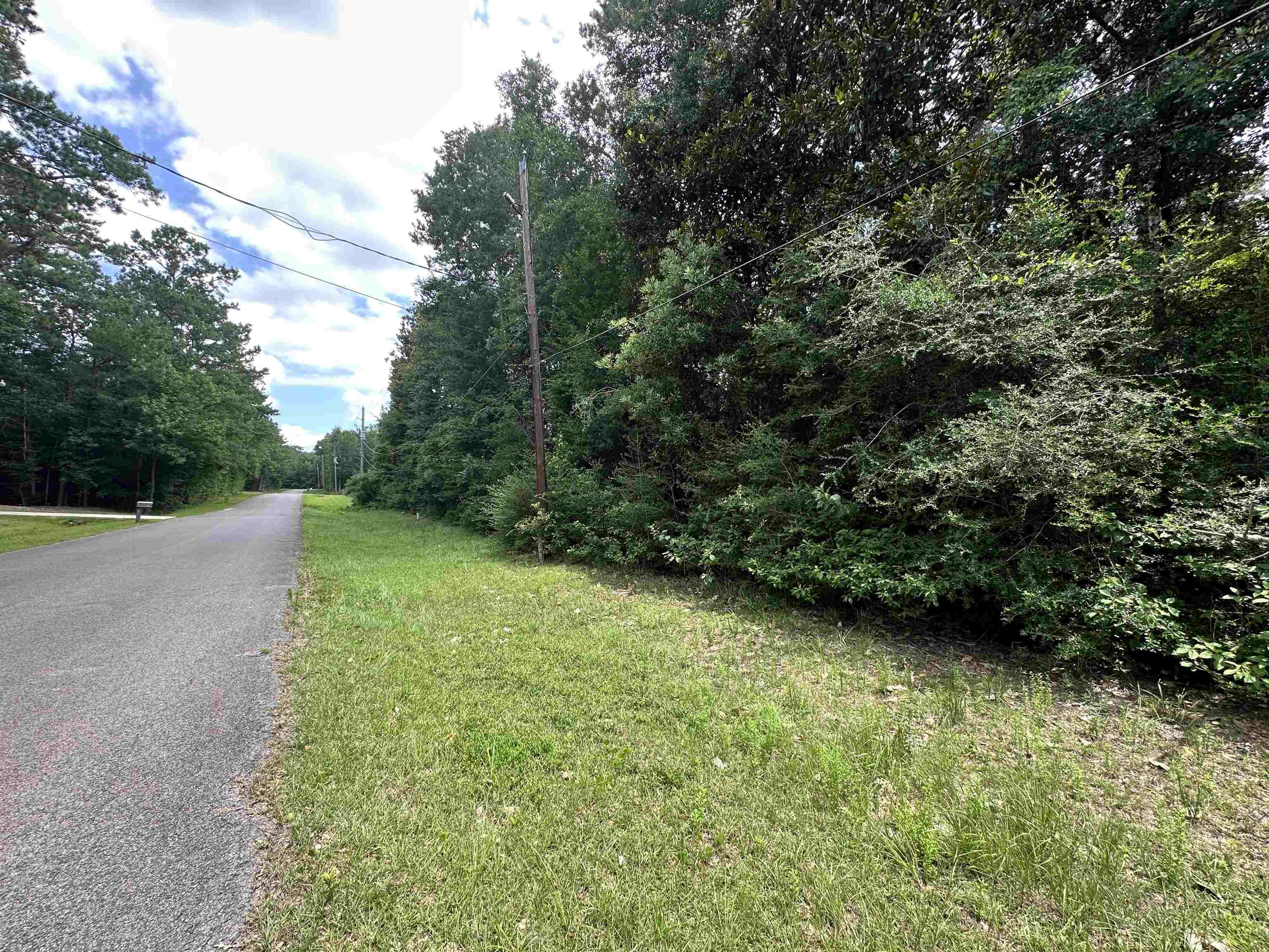 Lot 4 Fuller Road Silsbee, TX 77656 - Photo 1 of 6